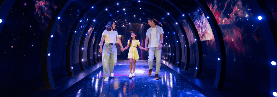 Discovery in Every Detail