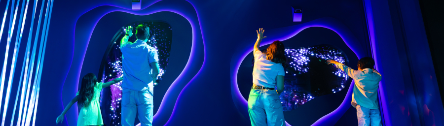 A Journey Through Wonder